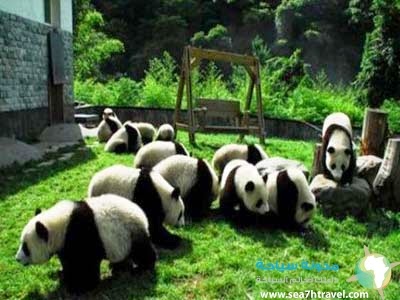 shanghai-wildlife-park-2.jpg