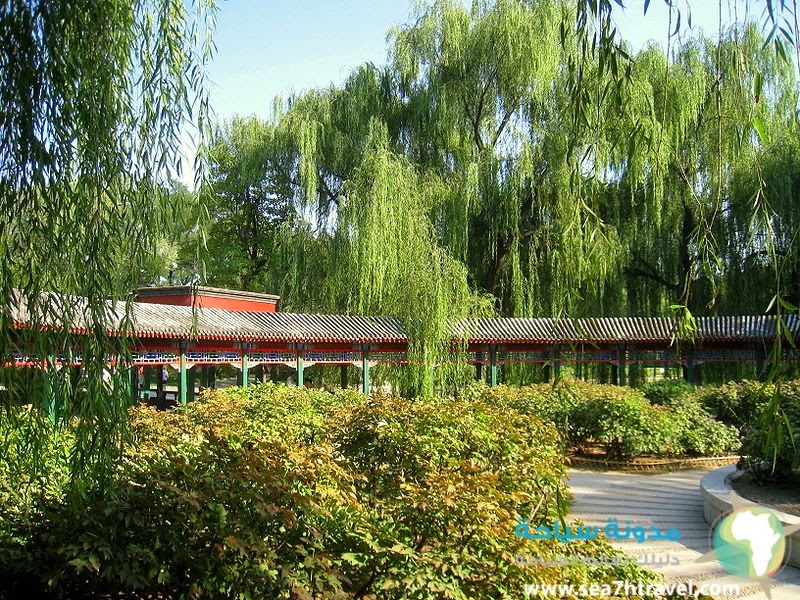 800px-Beijing_Zoo_-_Oct_2009_-_IMG_1213.jpg