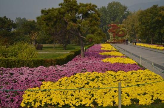 beijing-botanical-garden.jpg