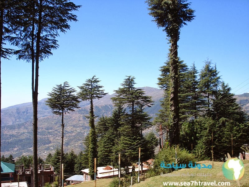 800px-Patnitop_hill.jpg