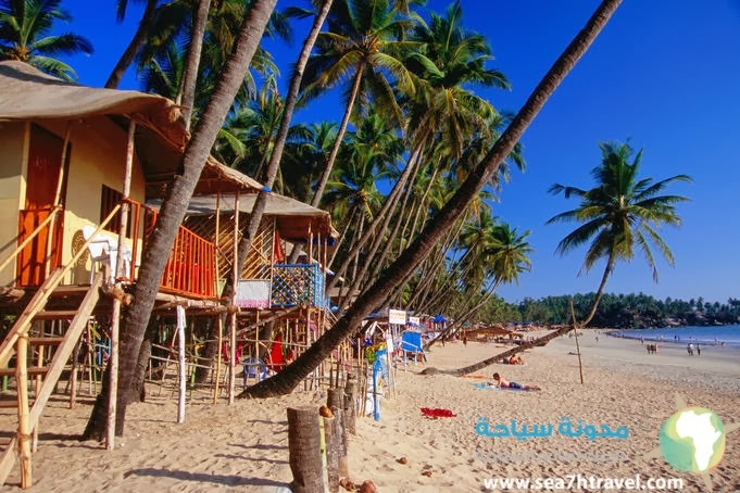 palolem-beach-tours.jpg