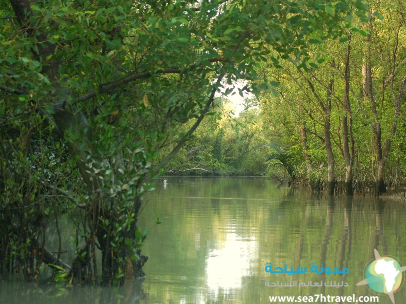 Bangladesh+Mangroves200.jpg