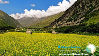 Valley-of-Flowers-Beautiful.jpg