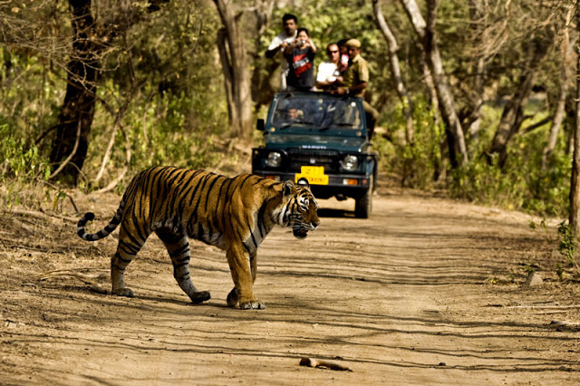 Jeep-Safari-Jim-Corbett-National-Park.jpg