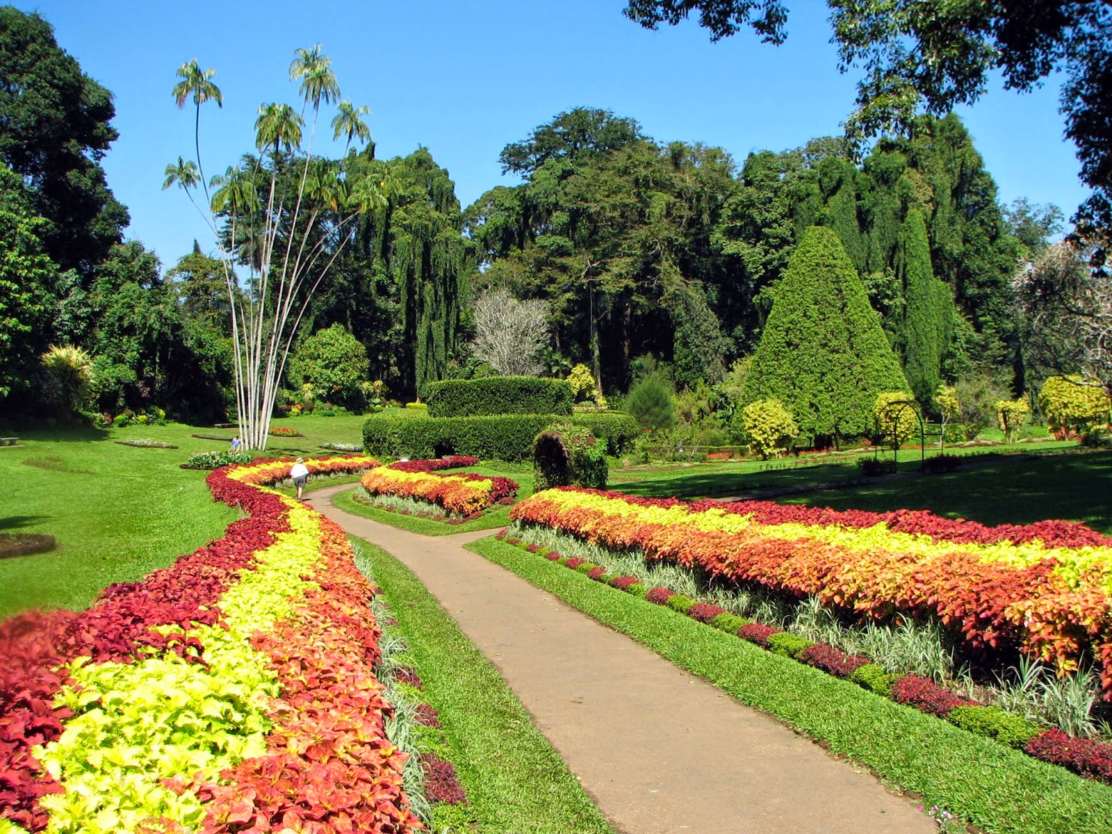 Botanical_Garden_of_Peradeniya_03.jpg