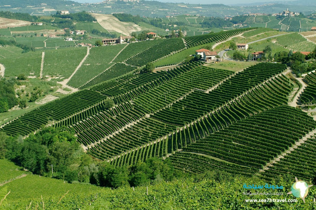 16.-pio-cesare-ornato-estate-piedmont.jpg