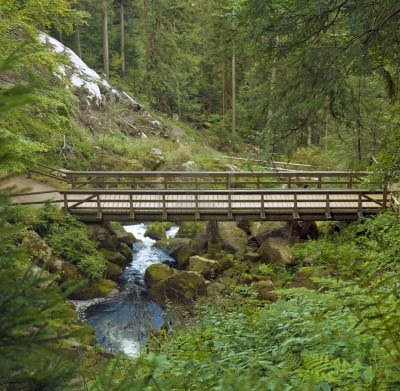 -forest-in-southern-germany-with-wooden-bridge-and.jpg