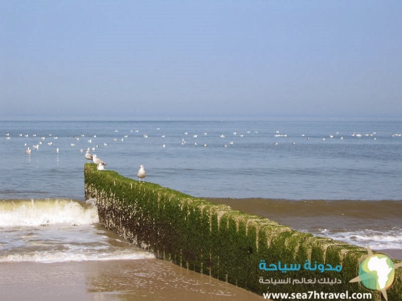 800px-2002-07_Sylt_-_Groyne.jpg