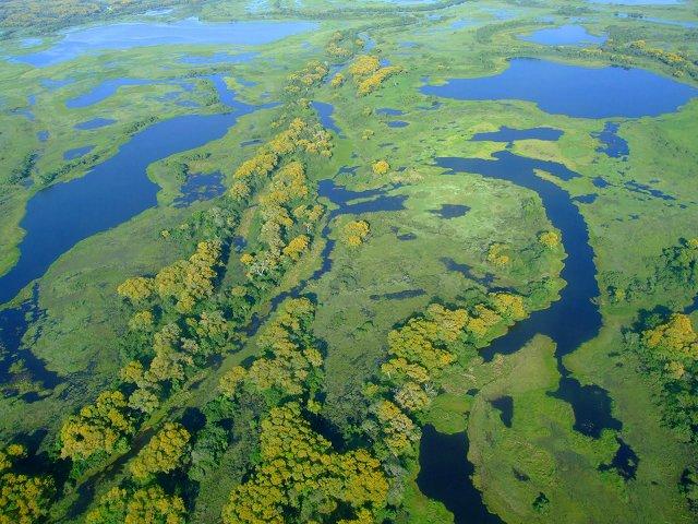 waters_of_the_pantanal.jpg