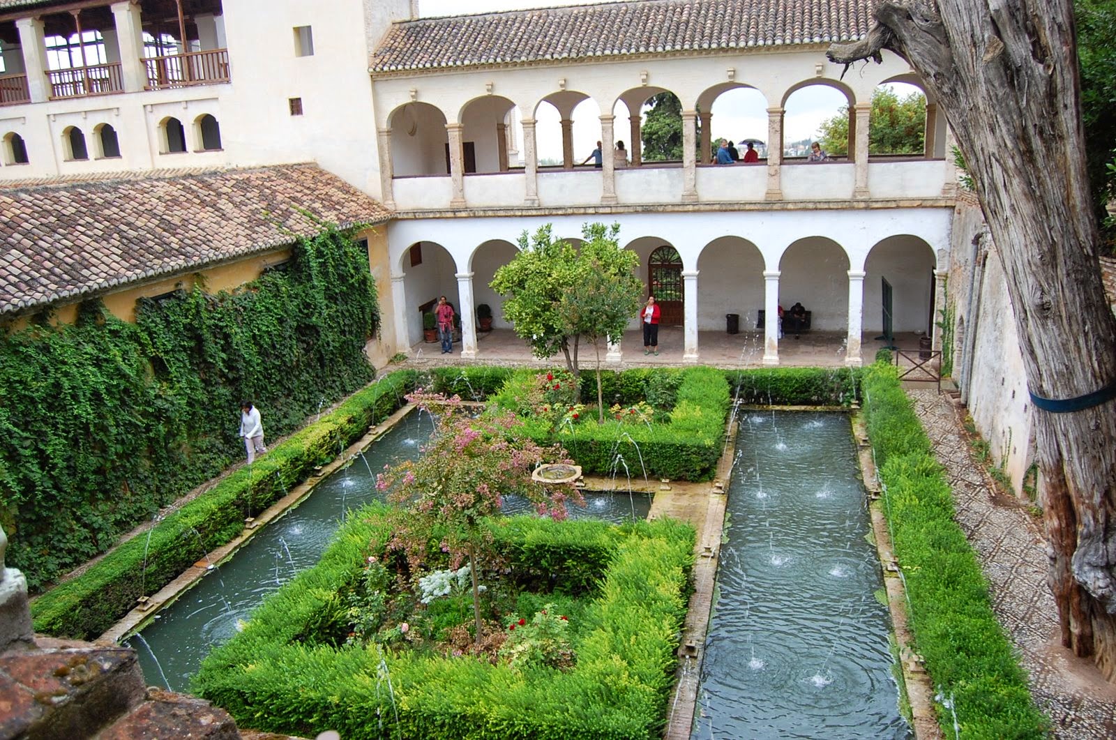 n_Granada_Alhambra_generalife_cypress_courtyard-10.jpg