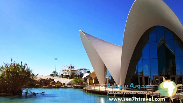 Valencia-Aquarium-Image.jpg