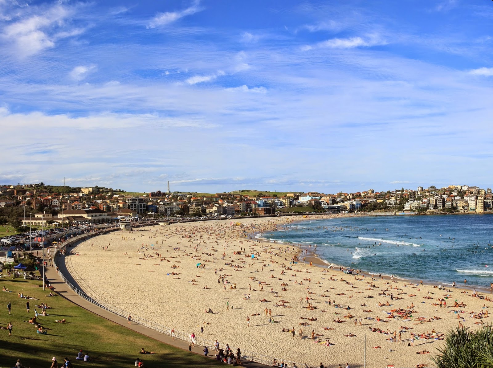 Bondi_1.jpg