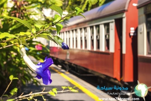 Kuranda-Scenic-Rail-Station.jpg