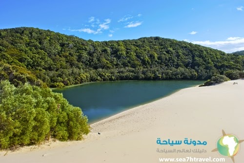 Fraser-Island-Queensland.jpg