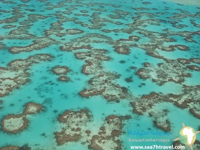 Reef-Australia.jpg