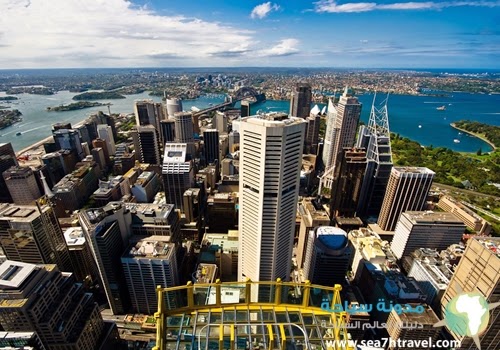 View-from-the-Sydney-Tower.jpg