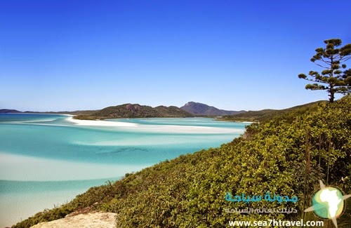 View-Over-Whitehaven-Beach.jpg