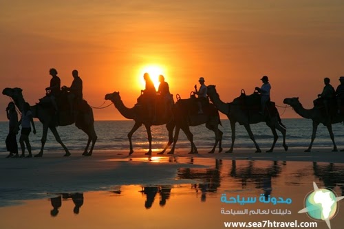 Camel-Rides-on-Cable-Beach.jpg