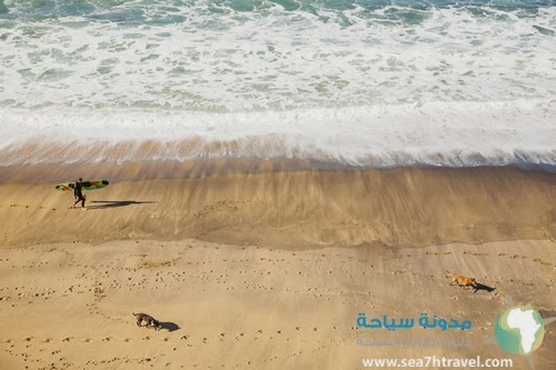 Surfer-and-Dogs-on-Bells-Beach.jpg