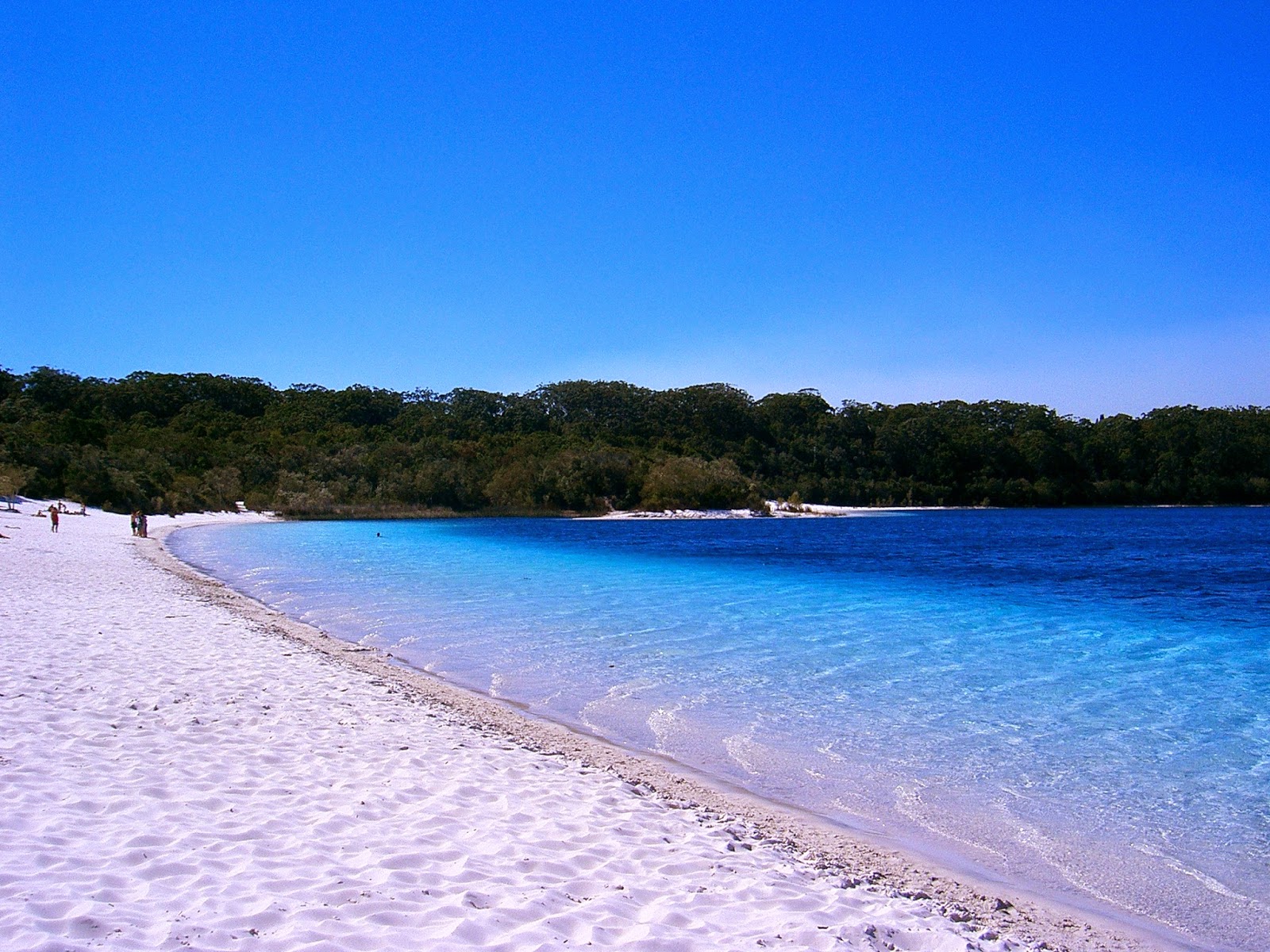 Fraser_Island_a05_lake_mckenzie.jpg