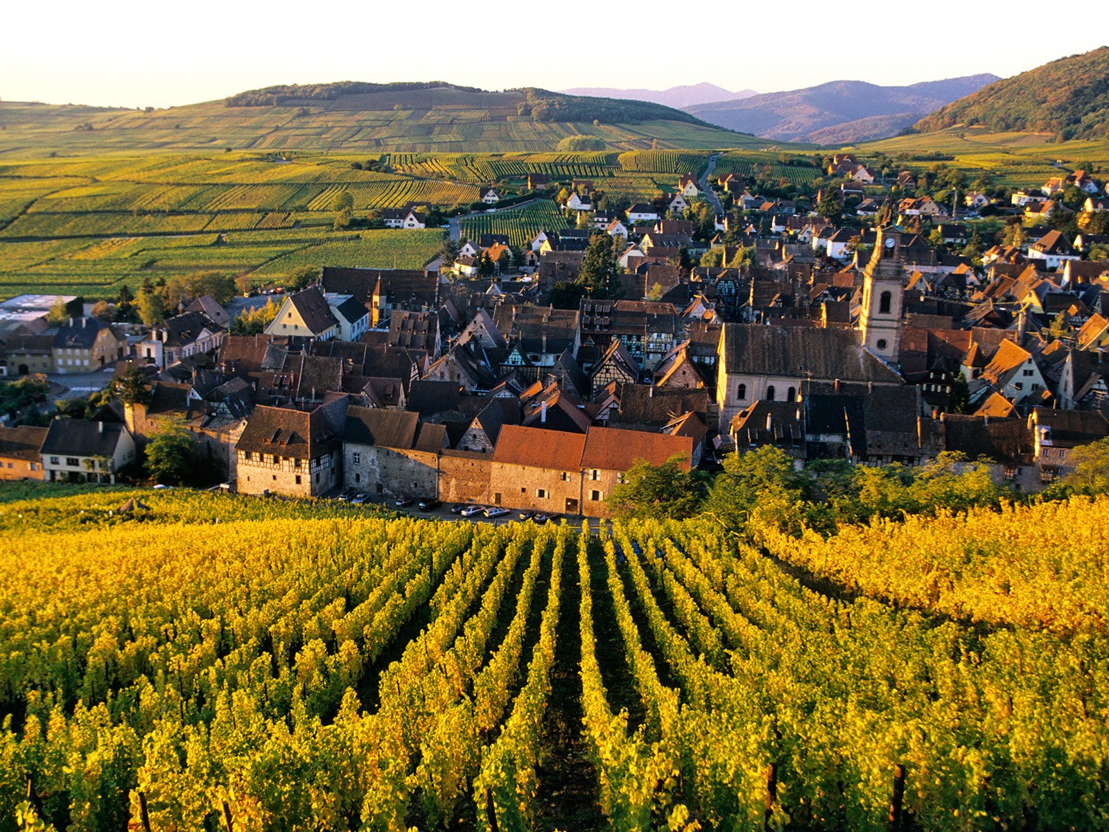 riquewihr_village__alsace_wine_route__france.jpg