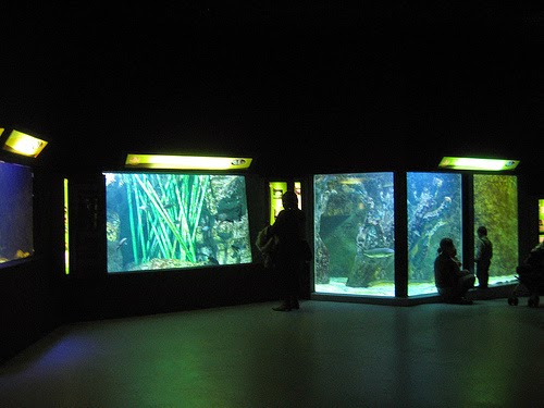 Lyon-aquarium-globalview.jpg