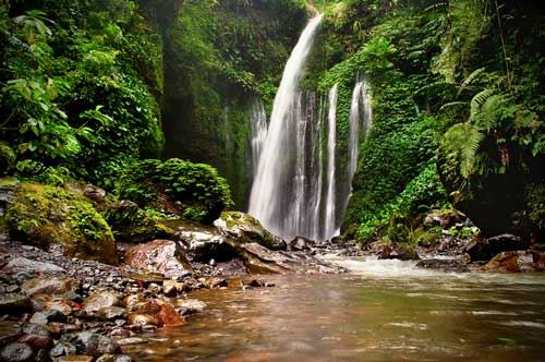 tiu-kelep-lombok.jpg