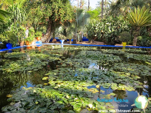 Majorelle-Garden.jpg