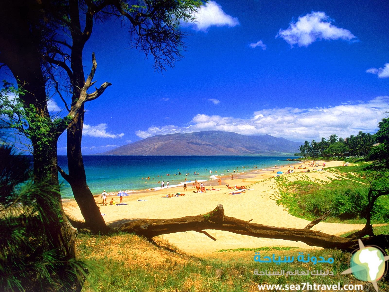 hawaii-beach.jpg