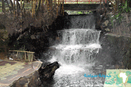 gtibp-sa-waterfall2.gif