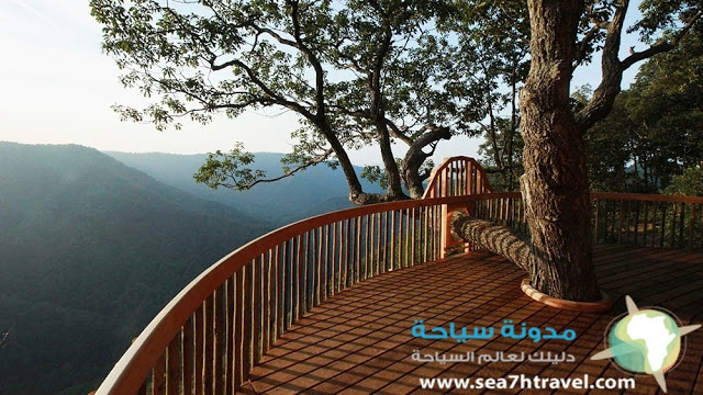 Nature-Resort-Spa-Treehouse.jpg