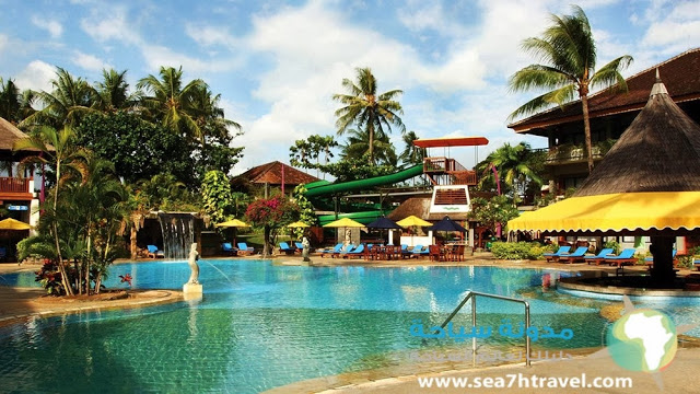 Resort-Spa-Treehouse-Swimming-Pool.jpg