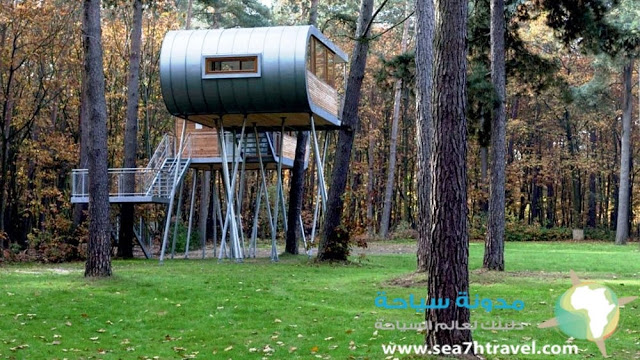 Resort-Spa-Treehouse.jpg