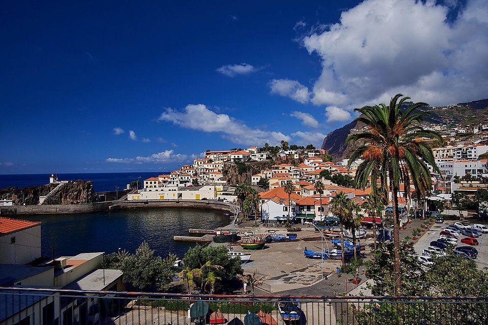 giant-park-under-the-open-sky-where-always-something-blooms.-Tenerife-itself-is-quite-different..jpg