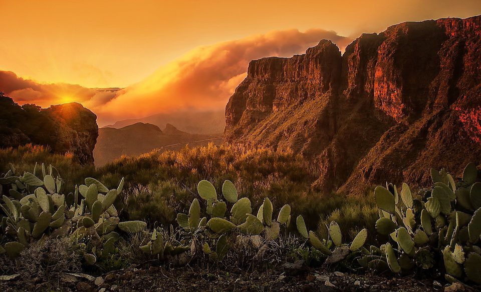 also-a-bit-more-humid.-Tenerife-is-dry-as-a-whole-and-the-weather-is-warmer-with-1-to-3-degrees..jpg