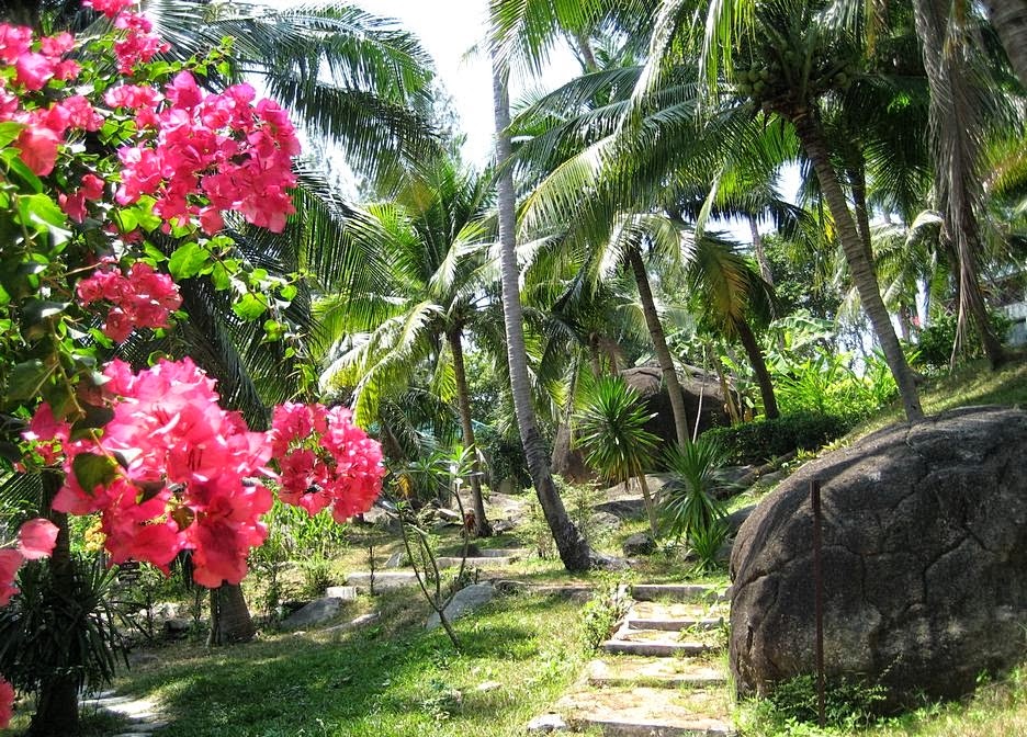 IMG_1346_koh_samui_butterfly_garden_rocks_big.jpg