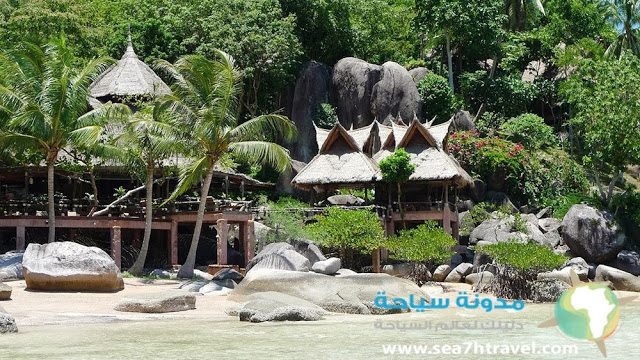 Koh-Tao-Bar.jpg