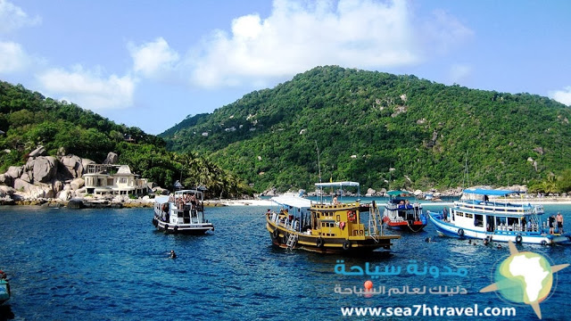 Thailand-Koh-Tao.jpg