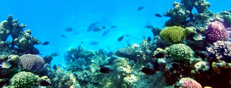 Underwater-World-Pattaya5.jpg