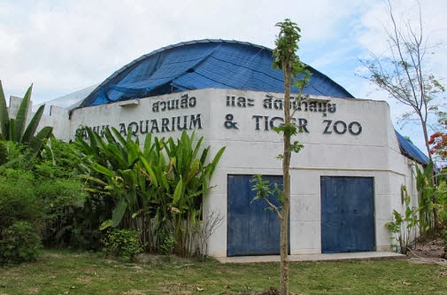 kohsamui_aquariumtigerzoo.jpg