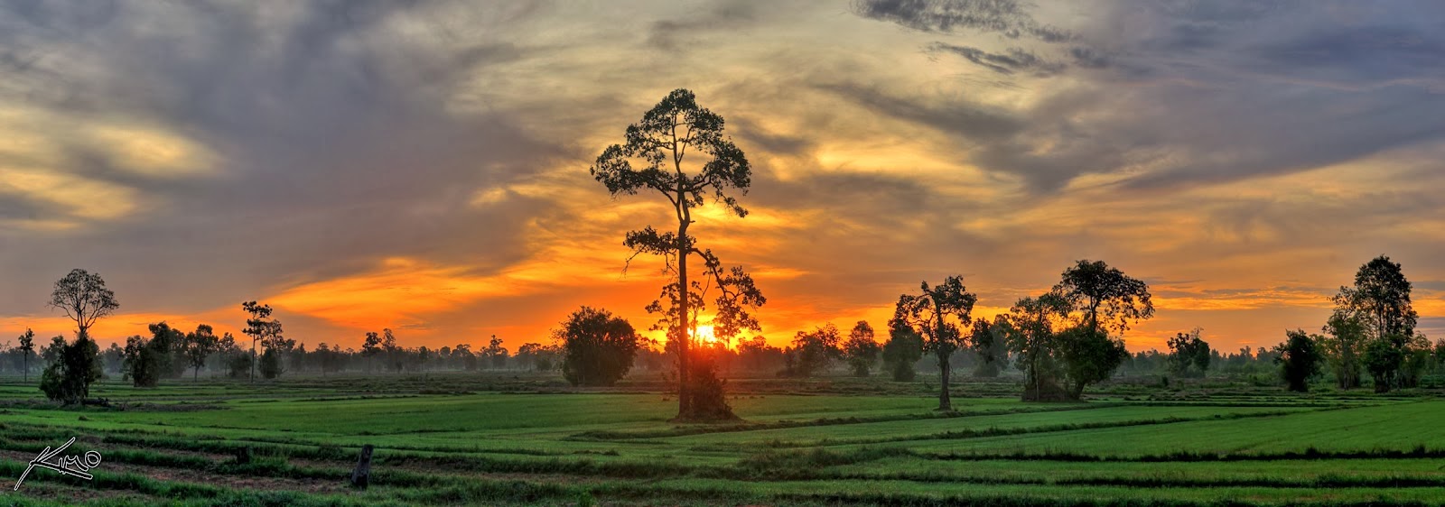 buriram-province-thailand-sunrise-over-rice-fields.jpg