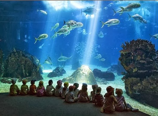 Phuket-Aquarium.jpg