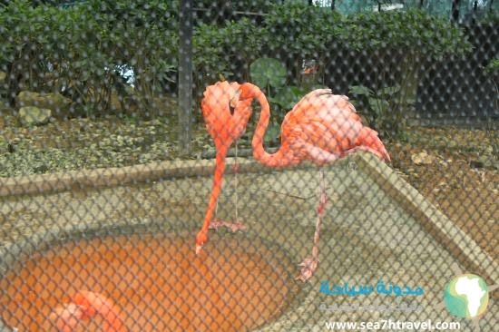 hong-kong-zoological.jpg