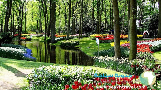 keukenhof-Garden-Beautiful.jpg