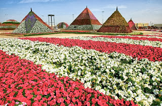 Dubai-Miracle-Garden-3.jpg