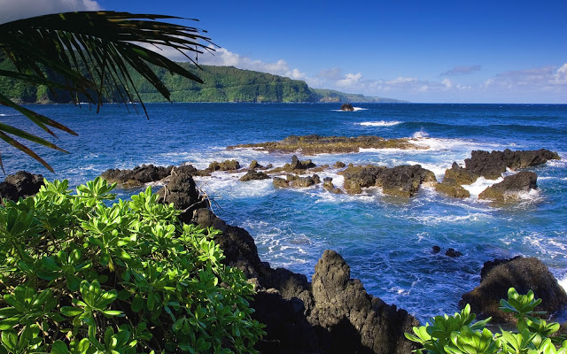 Maui-Island-Hawaii-046.jpg