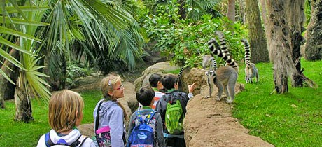 parques_cumple_bioparc_fuengirola.jpg