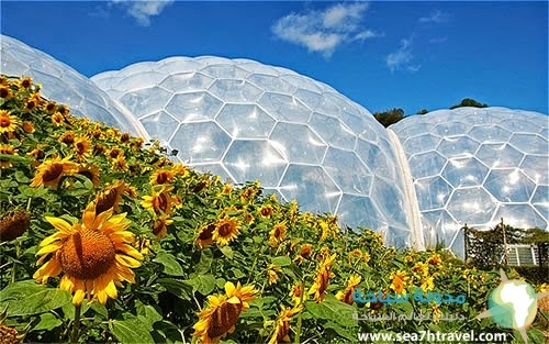 Eden-Project.jpg