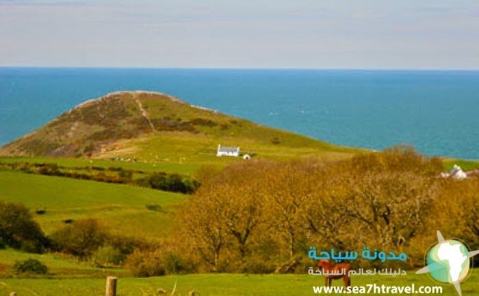 cottage-view-mwnt.jpg