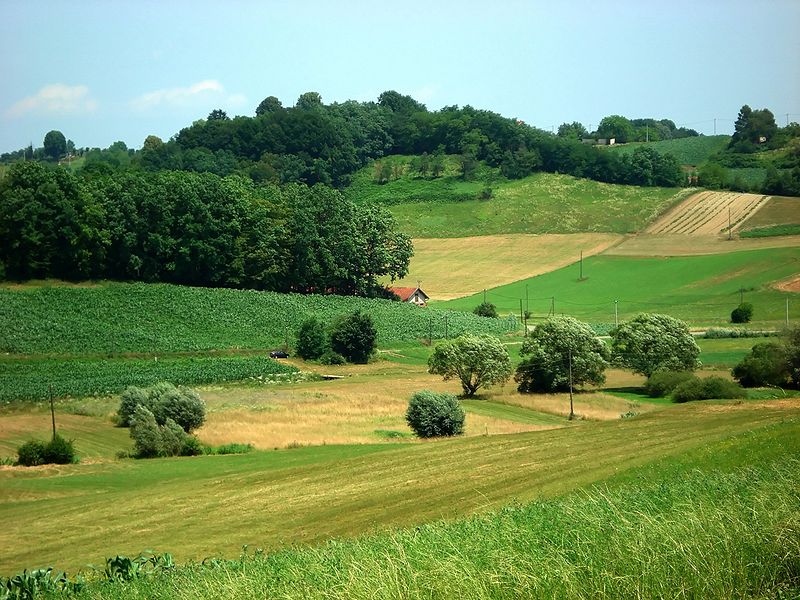 800px-Fields_hr_1.jpg